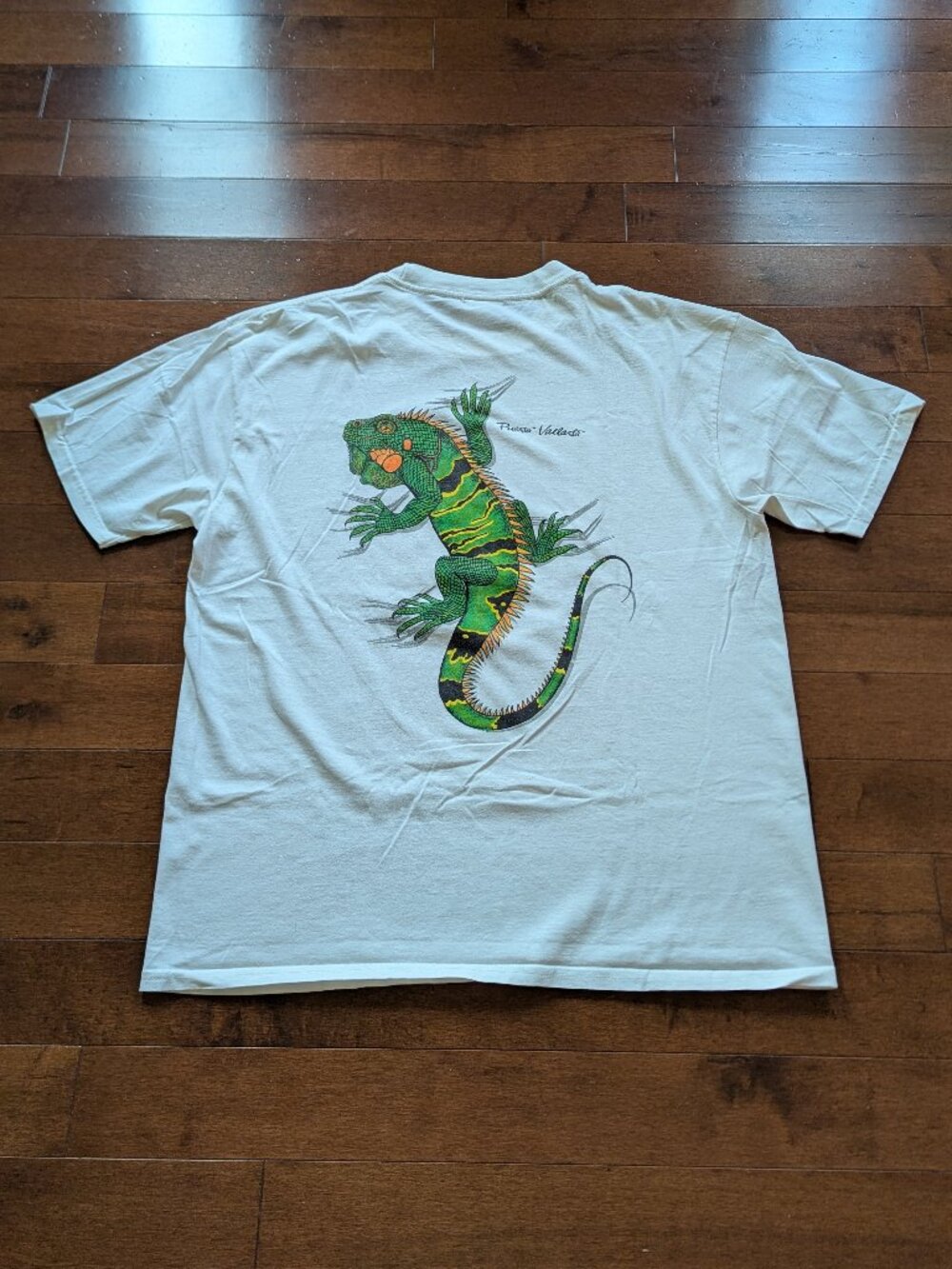 (2000s) Iguana Puerto Vallarta Mexico